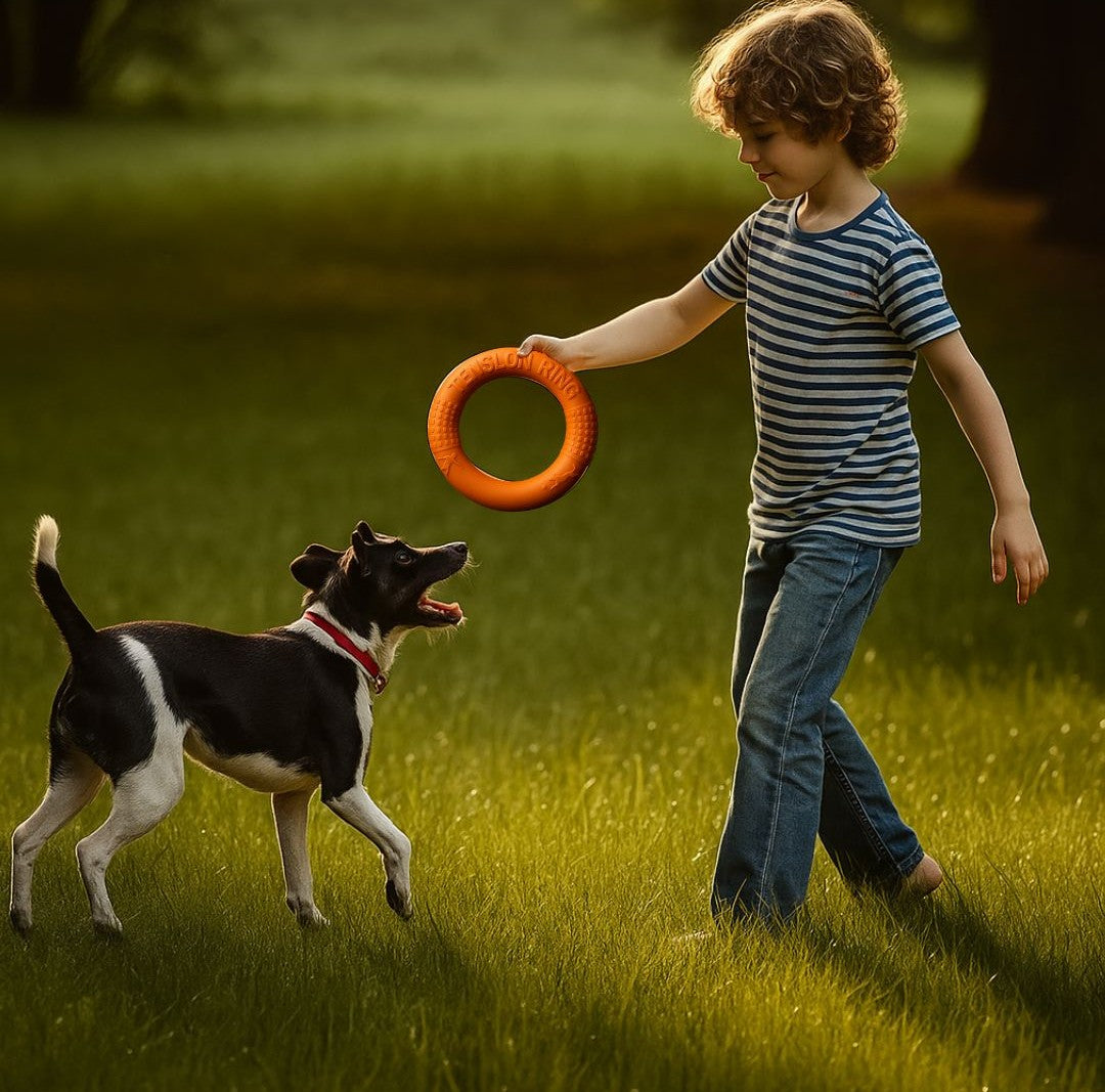 Dog Tug of War – Fun, Exercise, and Companionship